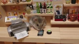 好きなお笑い芸人