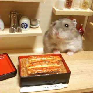 好きなお笑い芸人