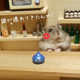 好きなお笑い芸人