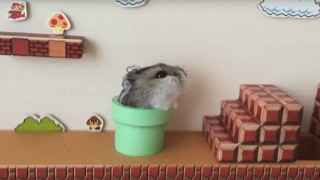 好きなお笑い芸人