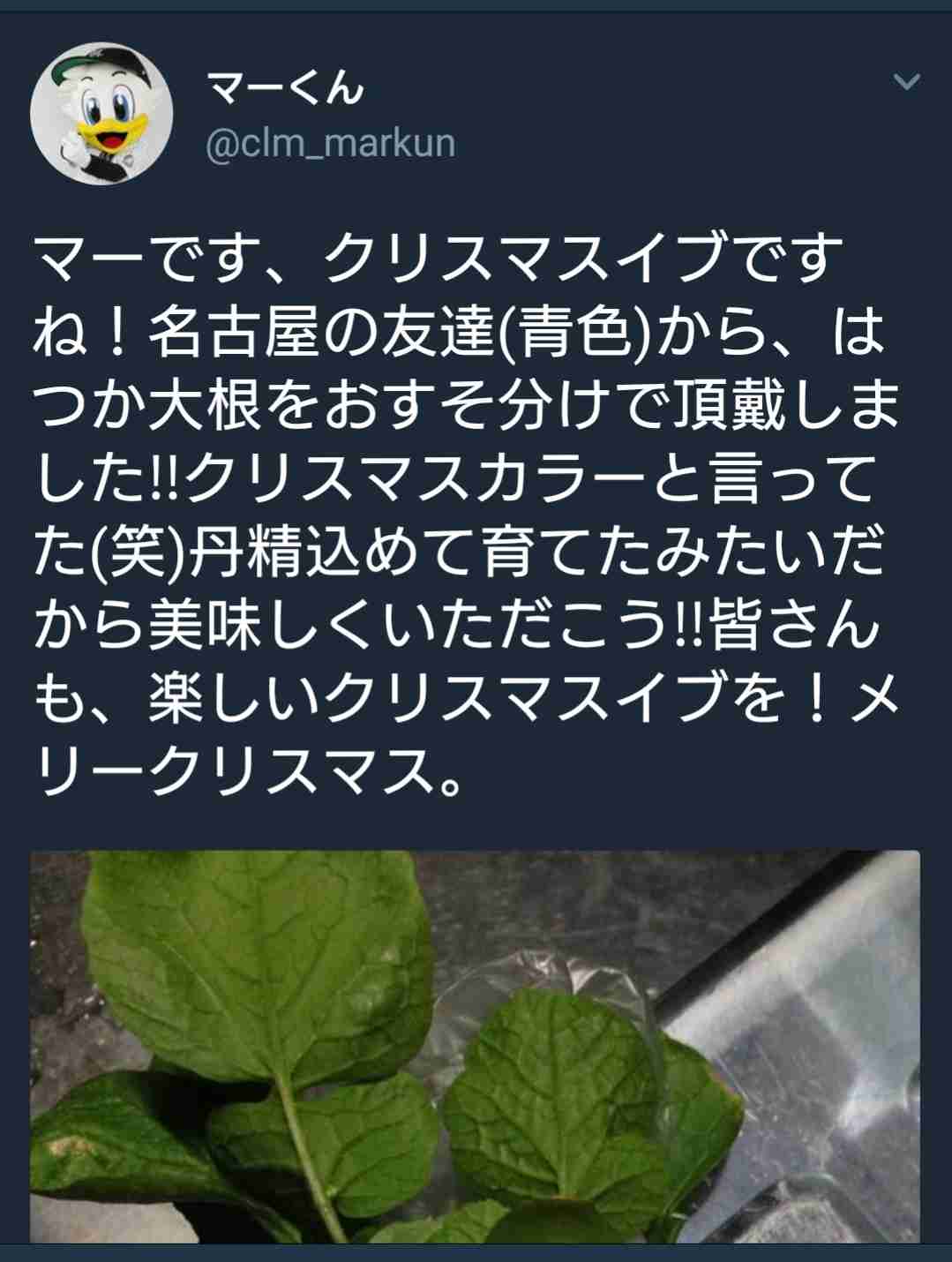 千葉ロッテマリーンズファンの方語りましょう