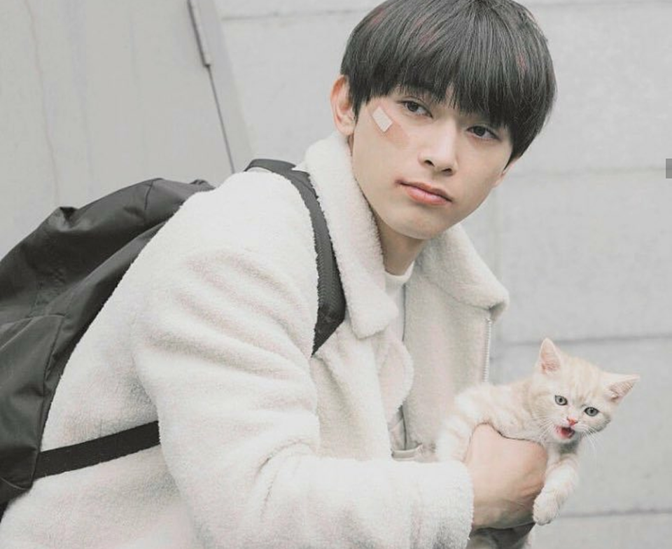 吉沢亮が好きな人〜!