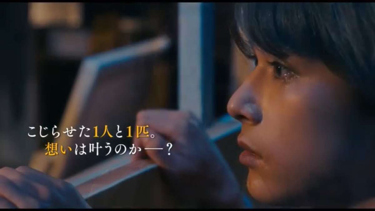 吉沢亮が好きな人〜!