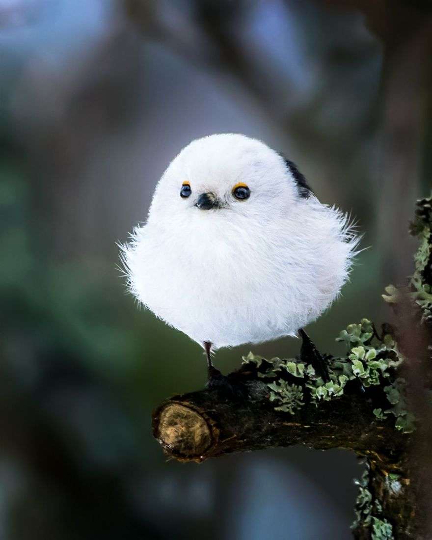 目の保養の画像