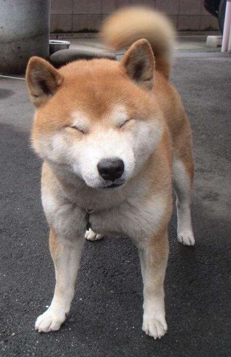 目の保養の画像