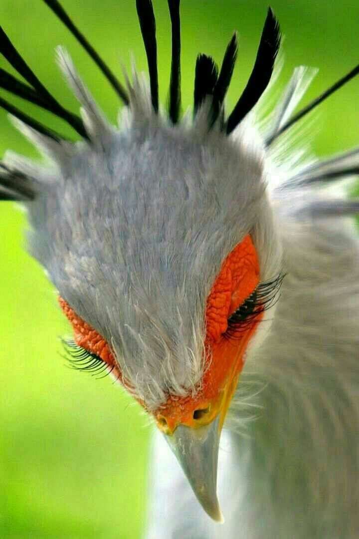 目の保養の画像