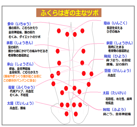 【混沌】テーマがコロコロ変わるトピ