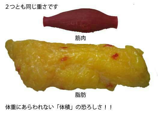 踏み台昇降ダイエットpart9