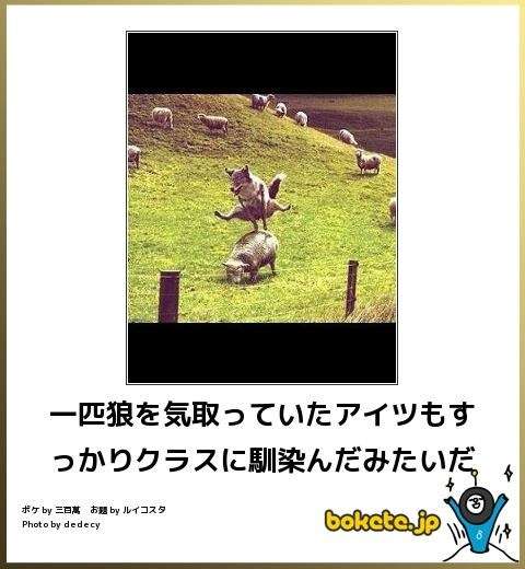 踏み台昇降ダイエットpart9