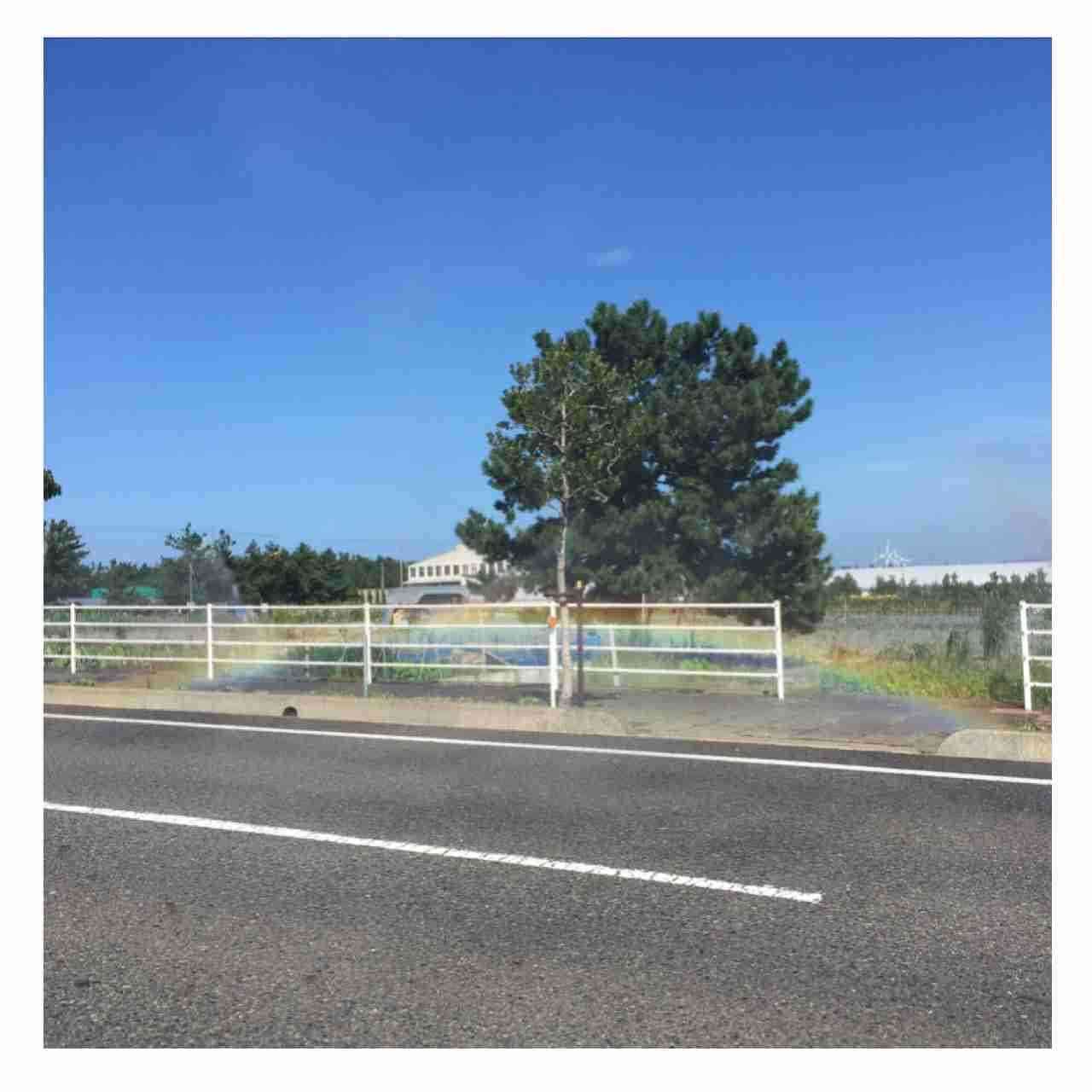 別れの季節に聴きたい楽曲