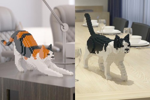 猫と犬の画像を交互に貼っていくトピ