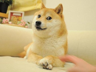 自分がもし余命宣告されたら