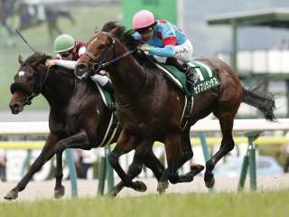 最近の事を競馬の馬の名前みたいに書くトピ