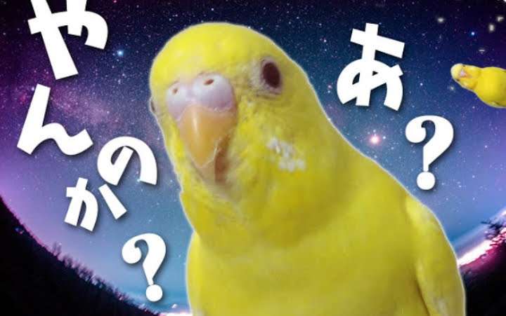 子供を産む人生と産まない人生
