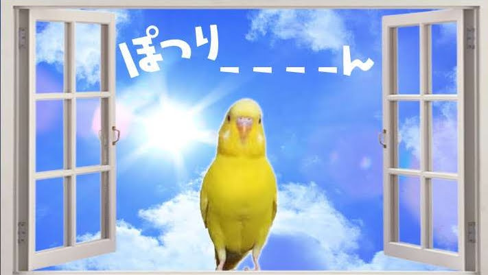 子供を産む人生と産まない人生