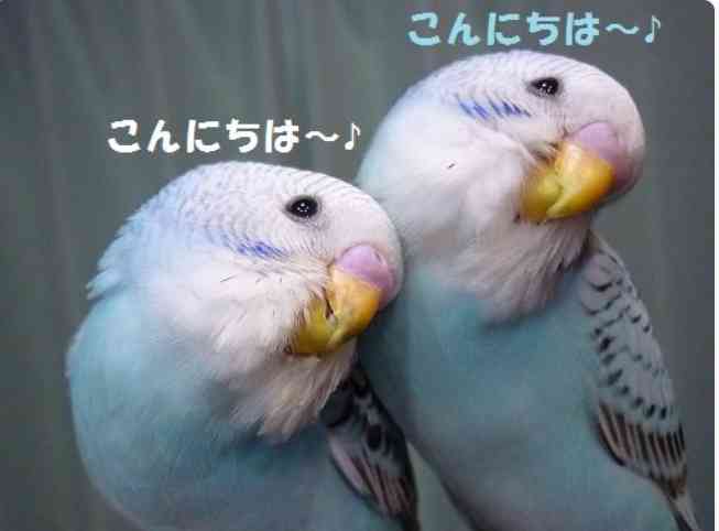 子供を産む人生と産まない人生