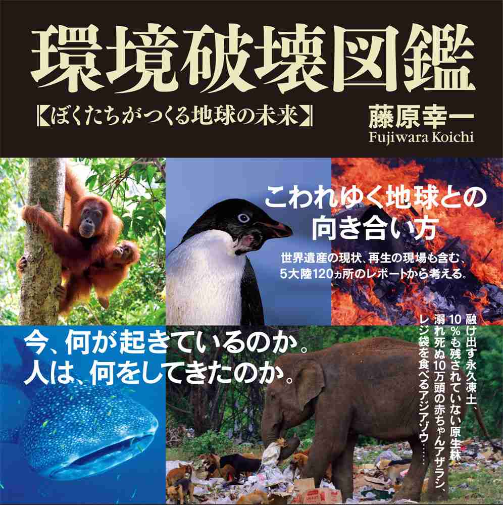 ゴミを減らす努力をしていますか