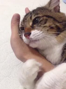 優しい画像大集合！！