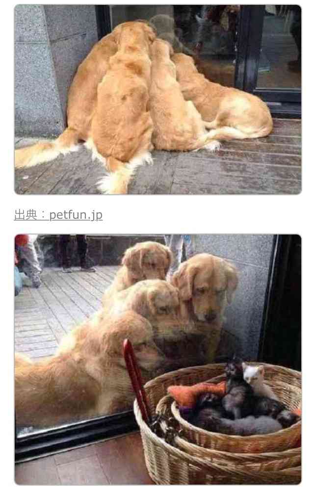 優しい画像大集合！！