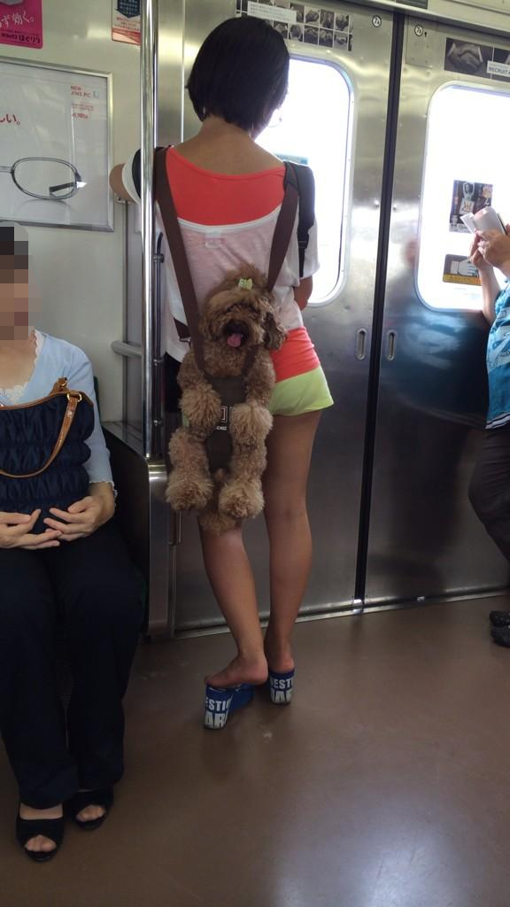 優しい画像大集合！！