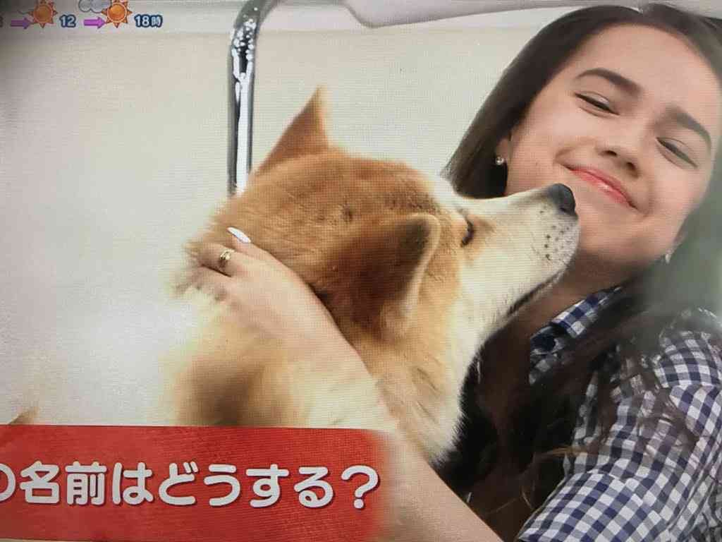 優しい画像大集合！！