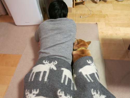 優しい画像大集合！！