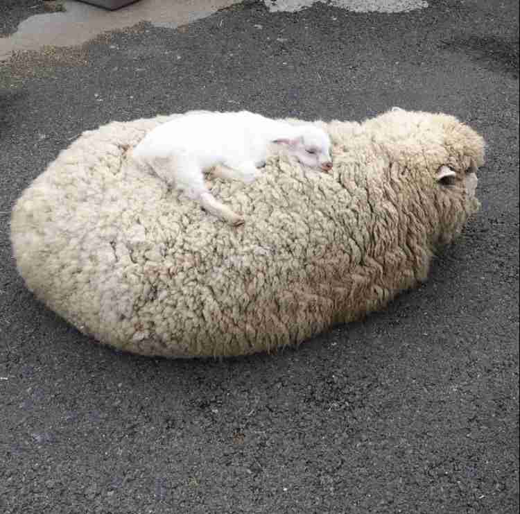 優しい画像大集合！！