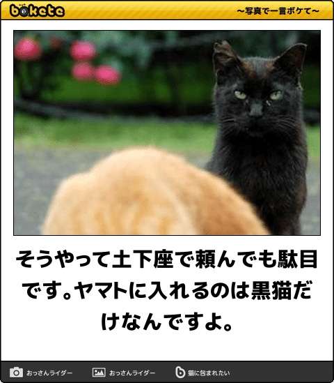 あの時の苦労は無駄ではなかったこと