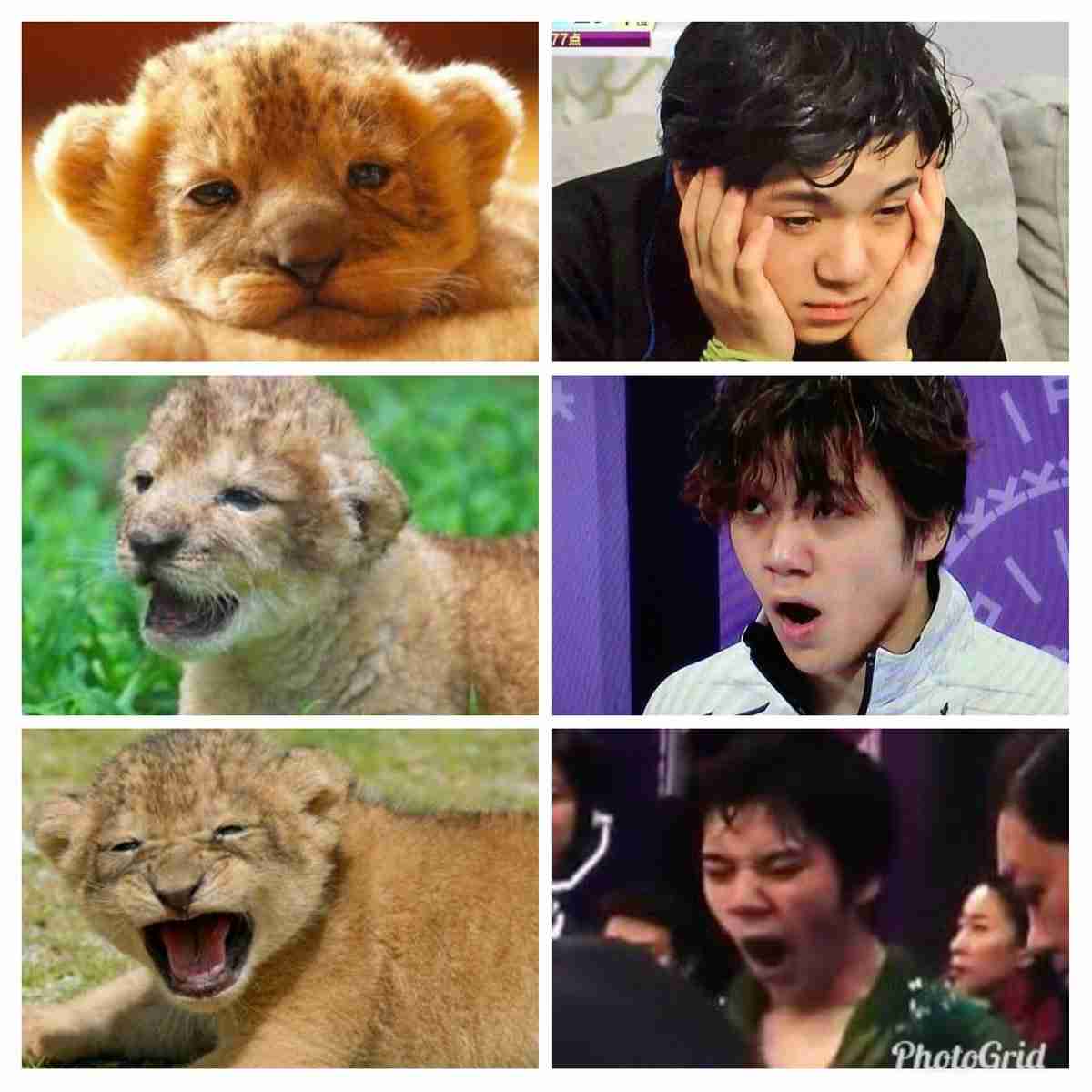 【フィギュアスケート】宇野昌磨選手ファントピPart4