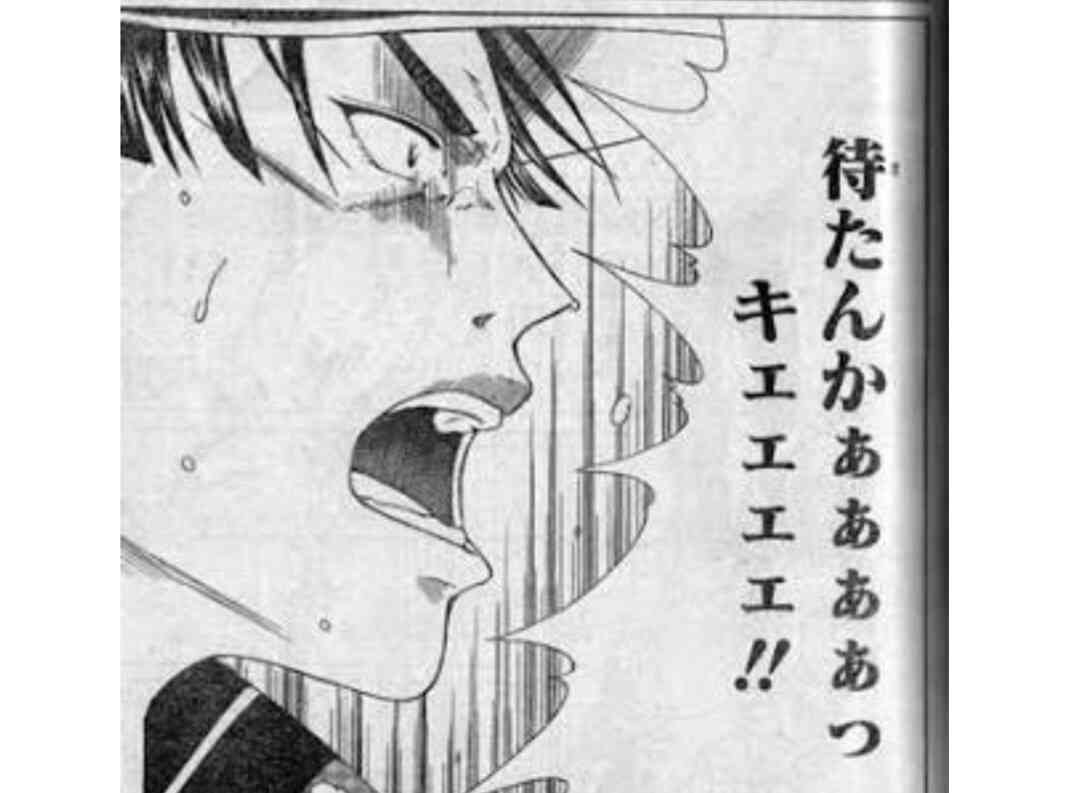 【ネタ】いろんな画像に「トトロいたもん」をつけるトピ