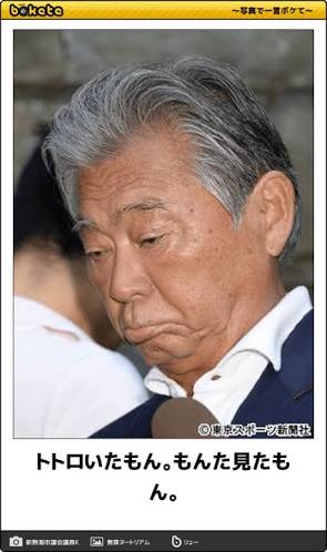 【ネタ】いろんな画像に「トトロいたもん」をつけるトピ