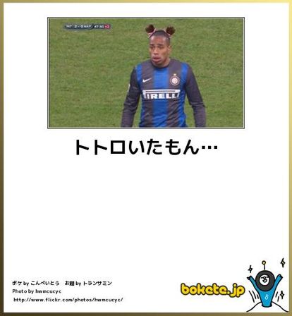 【ネタ】いろんな画像に「トトロいたもん」をつけるトピ