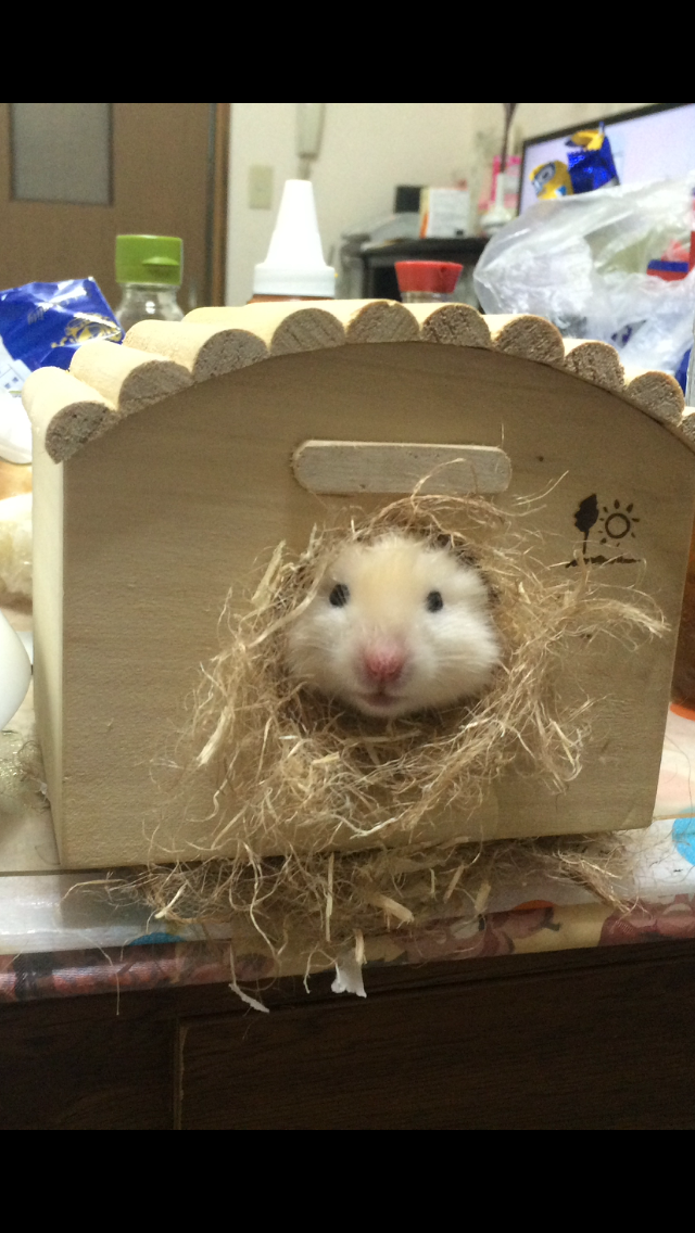 ペットの幸せって？