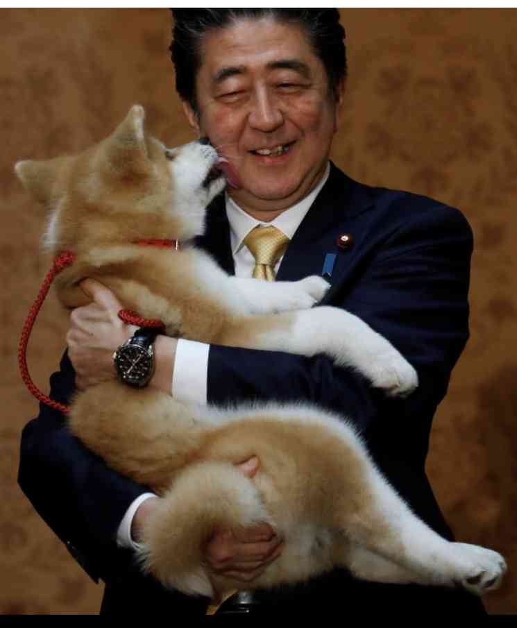 ザギトワが秋田犬マサルと念願の対面 安倍首相と昭恵夫人も立ち会う