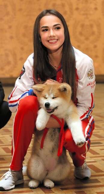 ザギトワが秋田犬マサルと念願の対面 安倍首相と昭恵夫人も立ち会う