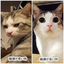 機嫌悪いんですアピールあるある