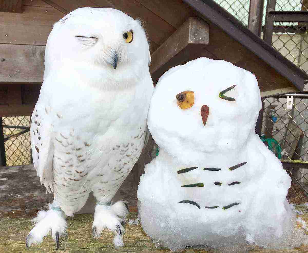 ちょっとだけお気に入りの画像（フォルダの中で3、4番目）