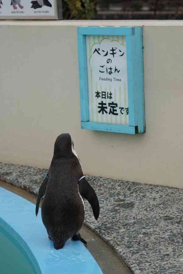 ちょっとだけお気に入りの画像（フォルダの中で3、4番目）