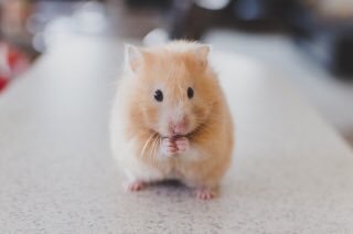 ちょっとだけお気に入りの画像（フォルダの中で3、4番目）