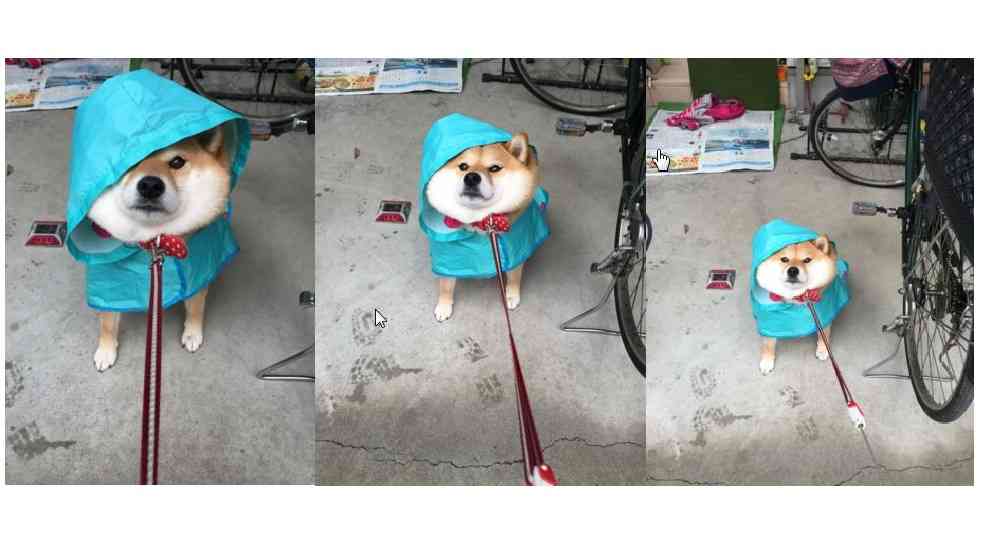 ちょっとだけお気に入りの画像（フォルダの中で3、4番目）