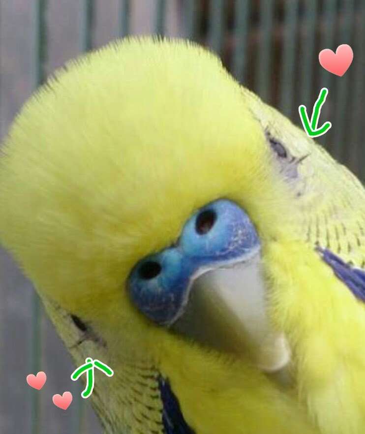ちょっとだけお気に入りの画像（フォルダの中で3、4番目）