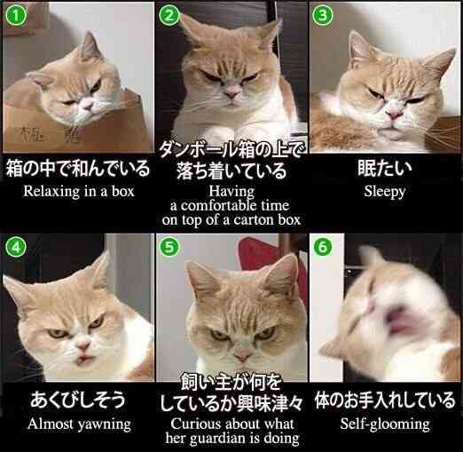 ちょっとだけお気に入りの画像（フォルダの中で3、4番目）