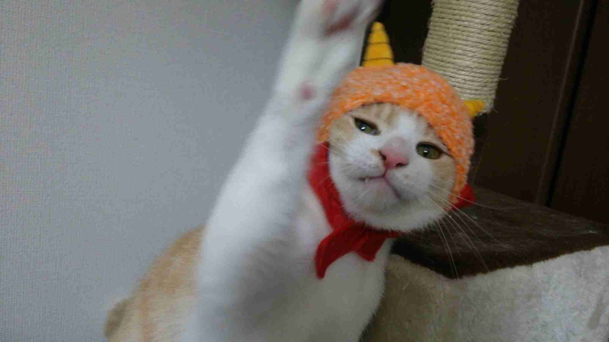 ちょっとだけお気に入りの画像（フォルダの中で3、4番目）