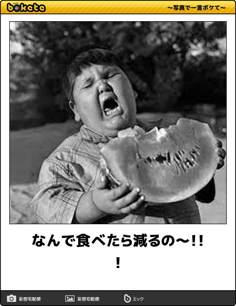 ちょっとだけお気に入りの画像（フォルダの中で3、4番目）
