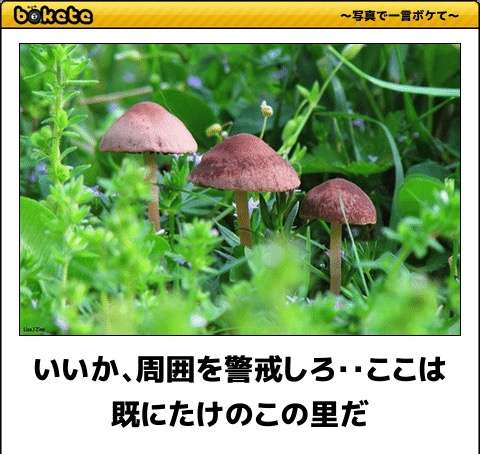 ちょっとだけお気に入りの画像（フォルダの中で3、4番目）