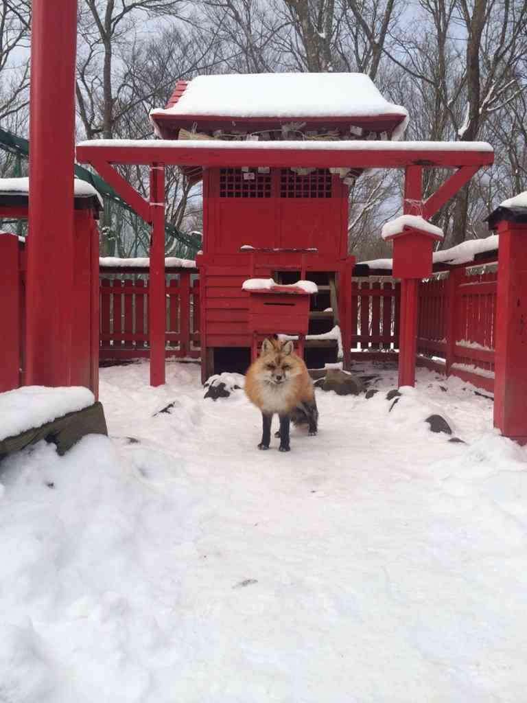 ちょっとだけお気に入りの画像（フォルダの中で3、4番目）
