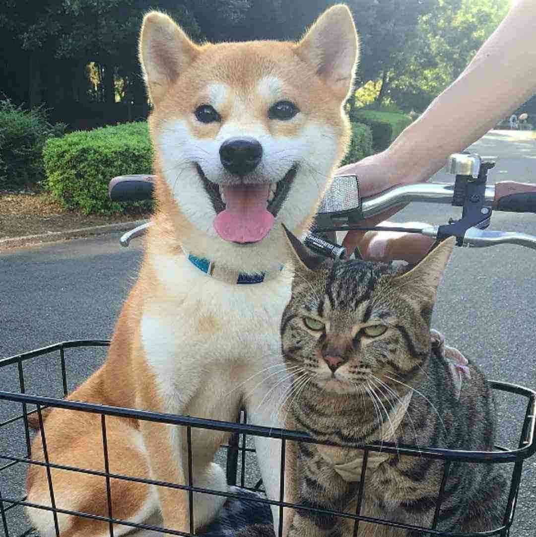 ちょっとだけお気に入りの画像（フォルダの中で3、4番目）