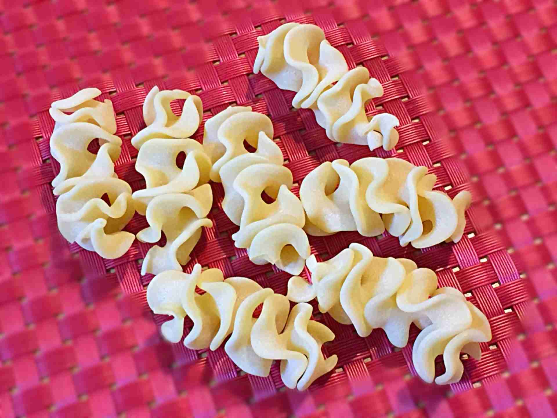 いろいろな形のパスタが集まるトピ