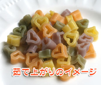 いろいろな形のパスタが集まるトピ