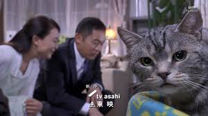 テレビ朝日のドラマ好きな人